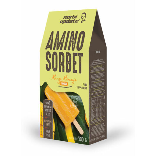 NUTRITION AMINO SORBET MANGÓ-MARACUJA 500 G